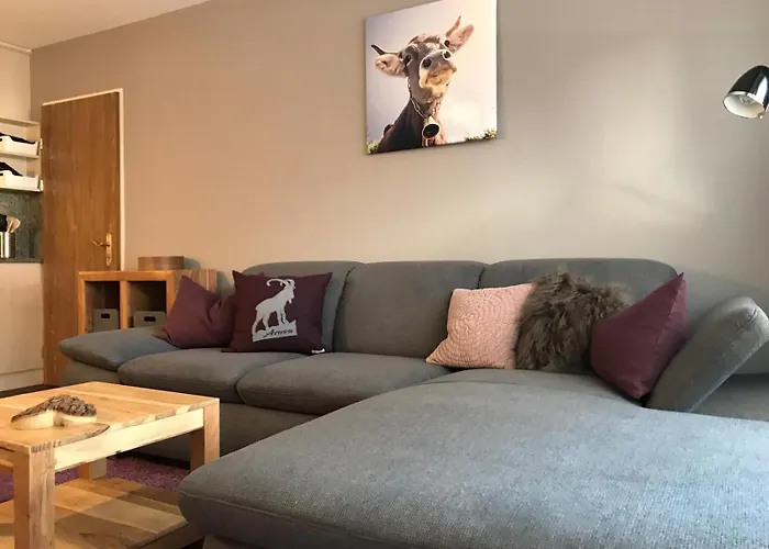 Derby 25 * Ароза