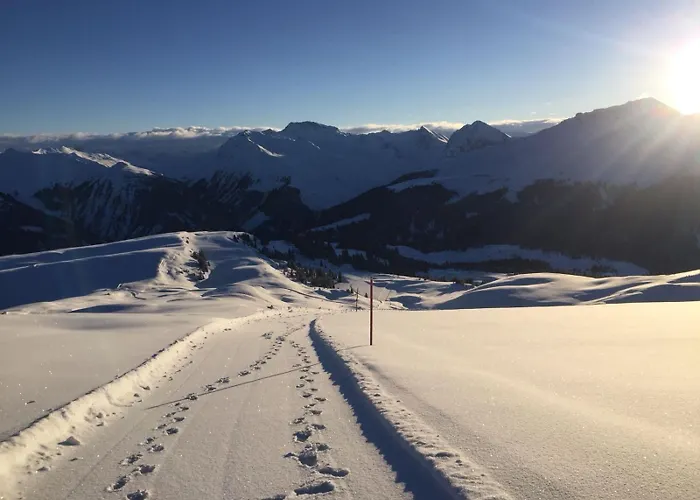 Derby 25 Appartement